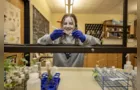 Estudante descobre fungo em planta com efeitos semelhantes aos do LSD