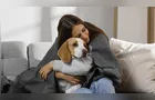 Cuidados do frio: mantenha seu pet saudável e aquecido