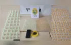Adolescente tenta fugir da PM e é apreendido com drogas em PG