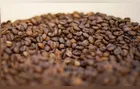 Governo reprova três marcas de café por serem impróprias para consumo