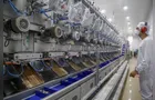 PG está entre as cidades que mais geraram emprego em 2025