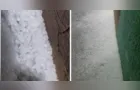 Estragos da chuva mobilizam Corpo de Bombeiros em PG