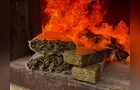 Polícia Civil de Palmeira realiza incineração de mais de 700 quilos de drogas