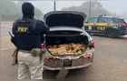 PRF prende quatro pessoas e apreende 320 quilos de maconha na BR-277