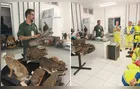 Via Araucária capacita equipes da região para atendimento a animais atropelados