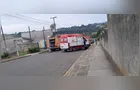 Ataque de abelhas em bairro de PG deixa feridos; há uma morte confirmada