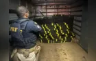 PRF apreende quase 2 toneladas de maconha em caminhão na BR-376 em PG
