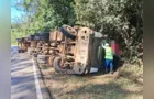 Caminhão carregado com madeira tomba na PR-160 e motorista fica ferido