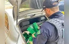 Homens são presos ao transportar 100 kg de maconha e skunk em PG