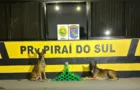 Cão encontra 22 kg de maconha em mala e mulher é presa em Piraí do Sul
