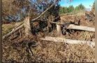 Polícia Ambiental acaba com desmatamento ilegal em PG
