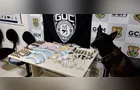 Bolt localiza 208 pacotes de drogas em Oficinas; um homem foi preso