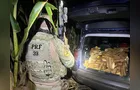 PRF apreende 600 kg de maconha em Cascavel; suspeito fugiu