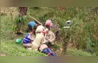 Idoso morre após triciclo despencar em ribanceira na Estrada da Graciosa