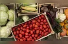 Funcionários são flagrados desviando caixas de frutas e verduras em 'Uvaranas'