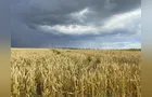 Agricultura inteligente para previsão do tempo na gestão de cultivos