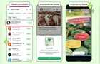 WhatsApp vai exibir anúncios para usuários e liberar canais por assinatura