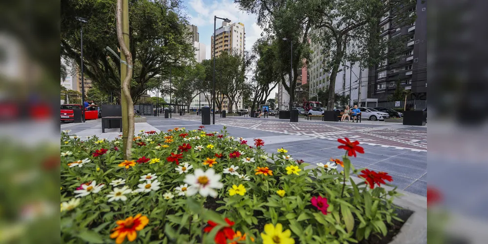 Nota Paraná: prêmios de R$ 100 mil e R$ 50 mil são sorteados para Curitiba - Praça da Ucrânia, no bairro Bigorrilho em Curitiba