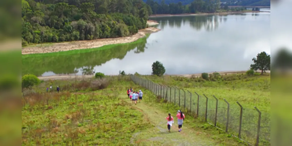 O município de Pinhais promove a caminhada ecológica