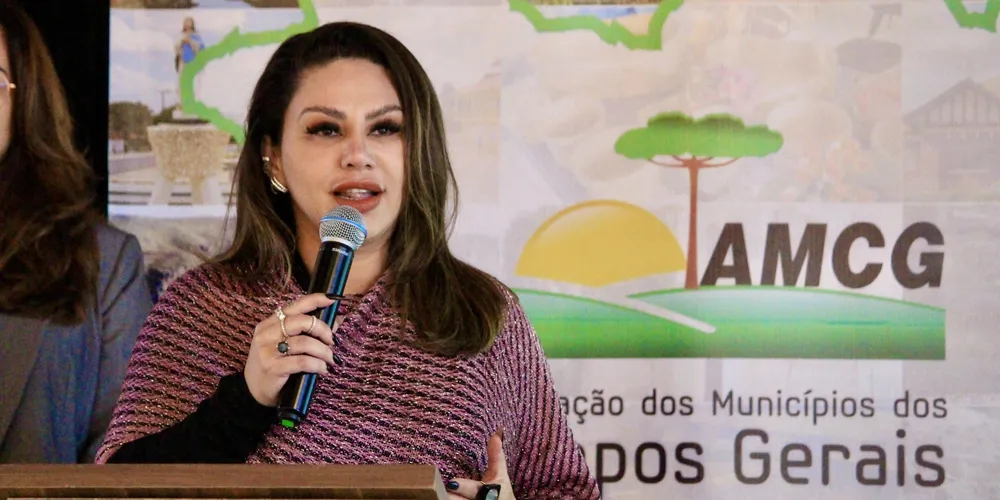 Dayane Sovinski realizou um balanço de sua gestão à frente da Associação