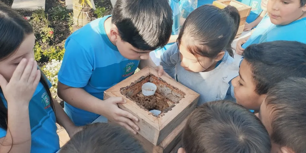 Veja como foi o trabalho que engajou colegas e comunidade escolar