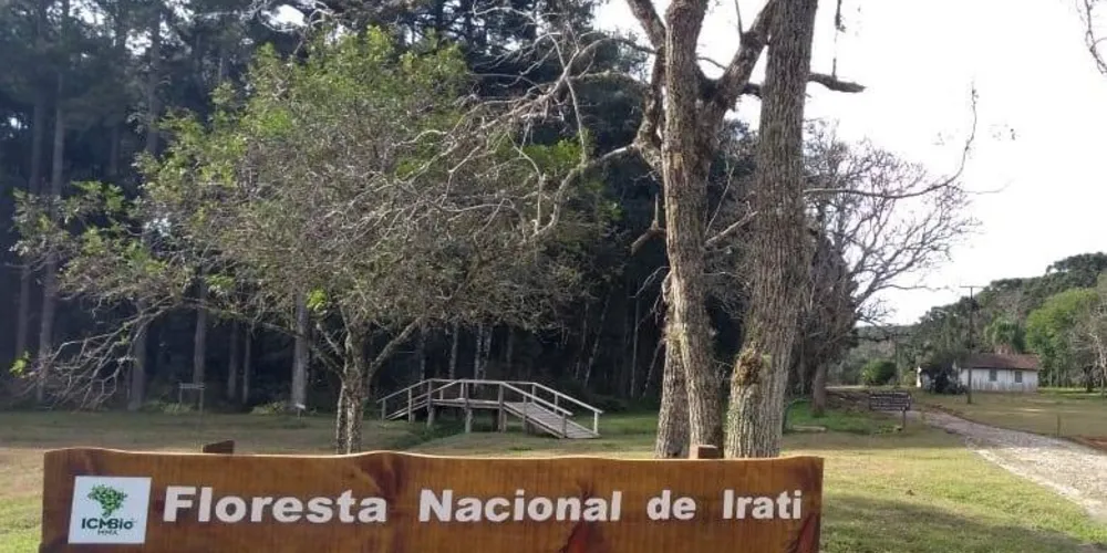 A Floresta Nacional de Irati irá integrar o território