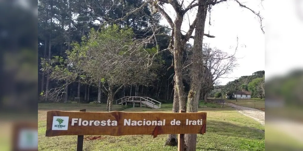 A Floresta Nacional de Irati irá integrar o território