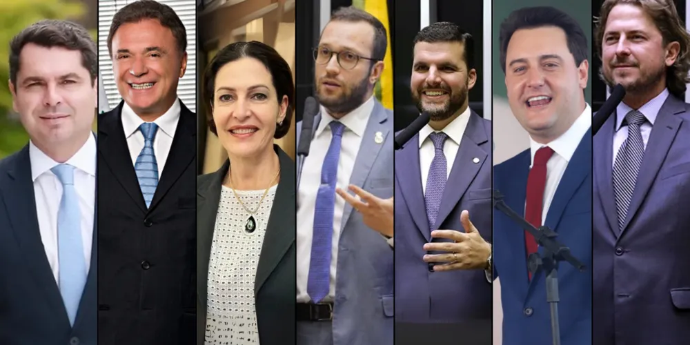 Na imagem: Alexandre Curi (PSD), Álvaro Dias (Podemos), Cristina Graeml (Podemos), Filipe Barros (PL), Pedro Lupion (Progressistas), Ratinho Jr. (PSD) e Zeca Dirceu (PT).
