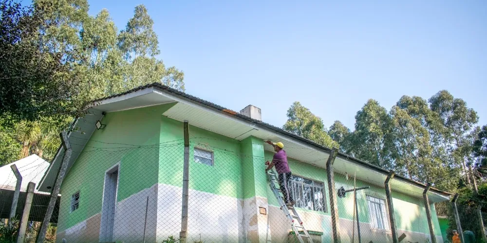 A Administração Municipal está investindo em ações visam ampliar o cuidado com os animais