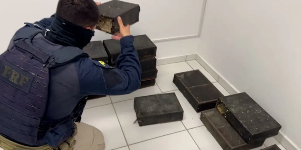 As aves estavam em gaiolas no bagageiro de um dos veículos abordados