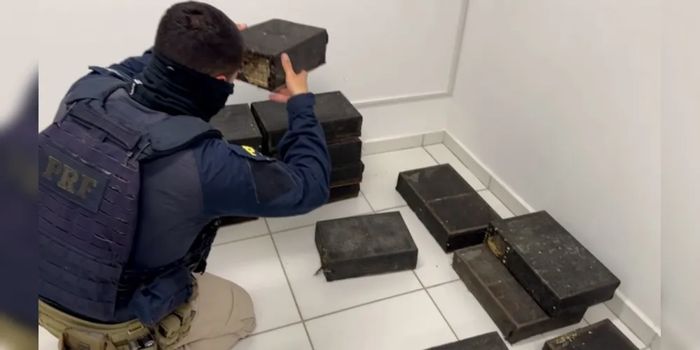 As aves estavam em gaiolas no bagageiro de um dos veículos abordados