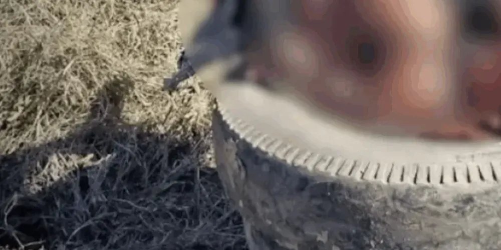 A vítima havia deixado o sistema prisional há cerca de um ano, mas a polícia ainda não confirma se há relação entre sua passagem pela cadeia e a execução violenta