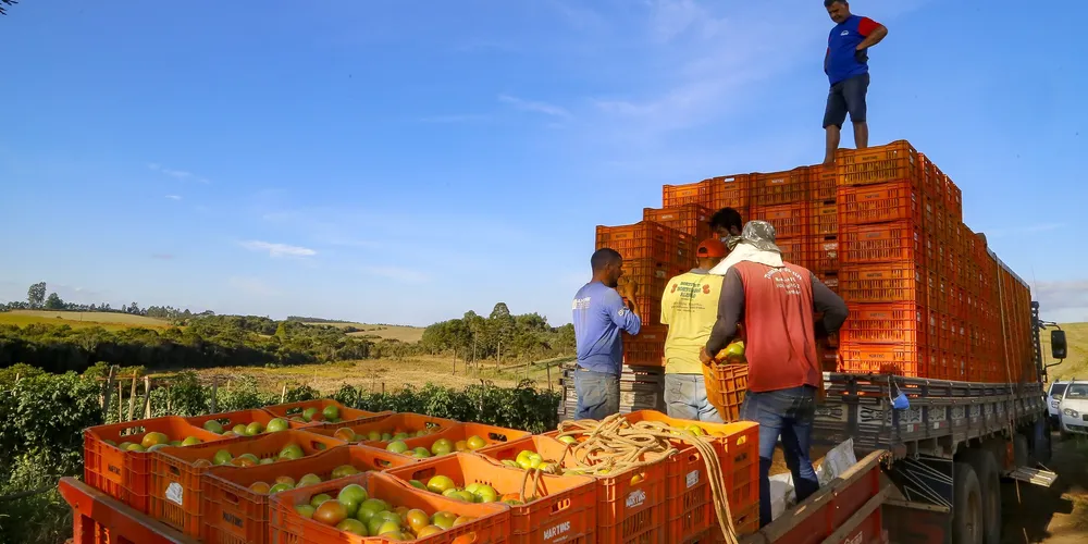 Agricultura está entre os setores que mais criou oportunidades com carteira assinada