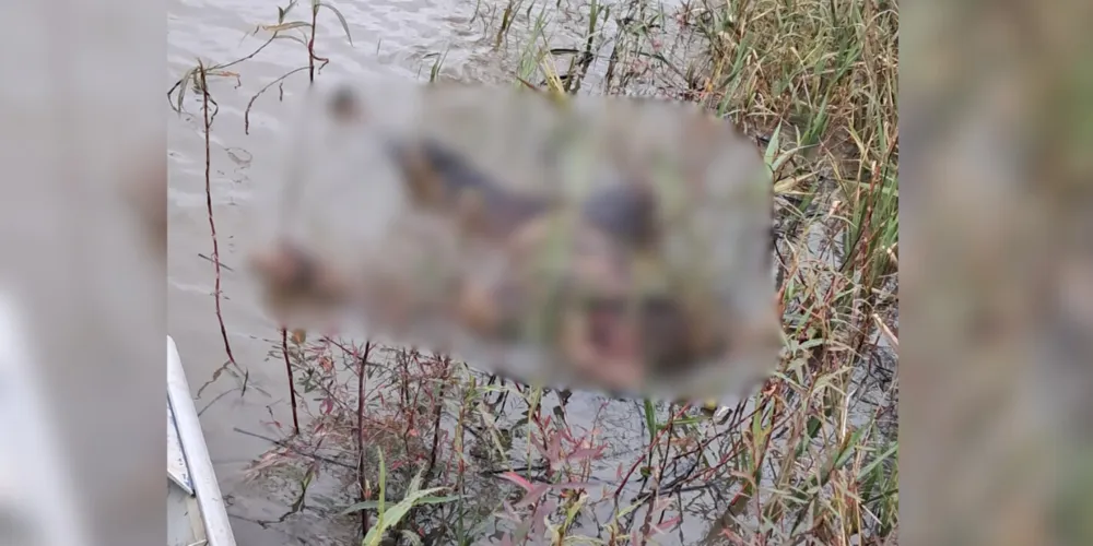 O corpo foi encontrado por pescadores