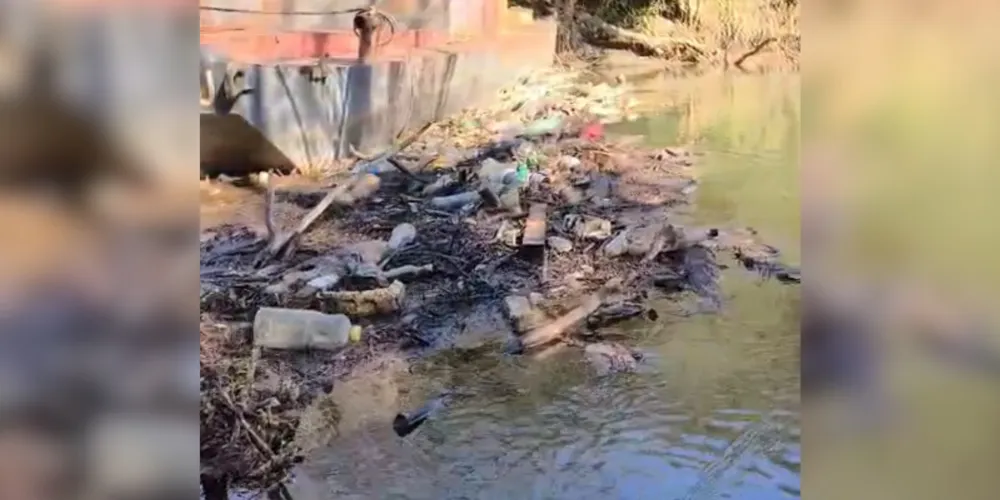 As denúncias foram realizadas pelo vereador Guilherme Mazer