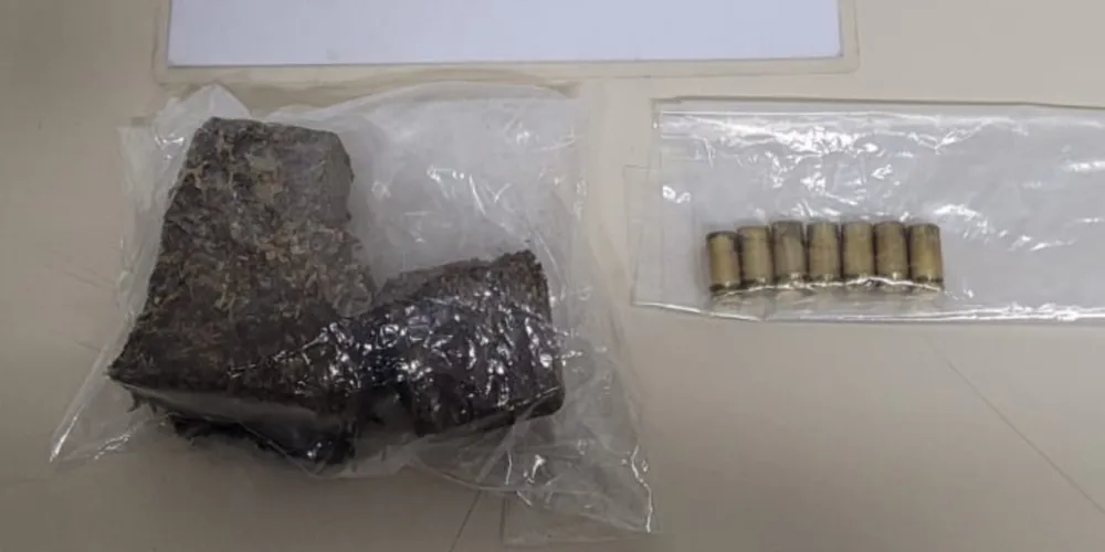 Material apreendido durante a ocorrência