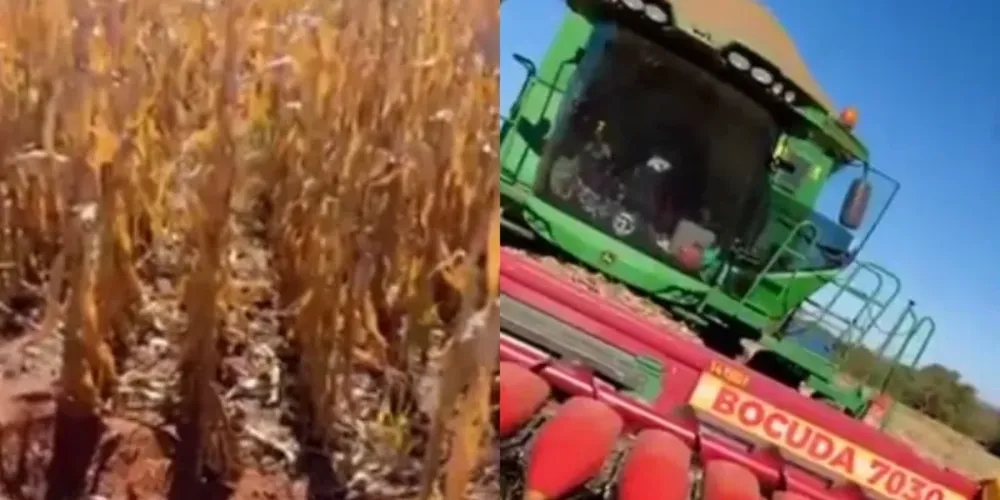 Após a descoberta, a Polícia Militar foi acionada e realizou o isolamento da área