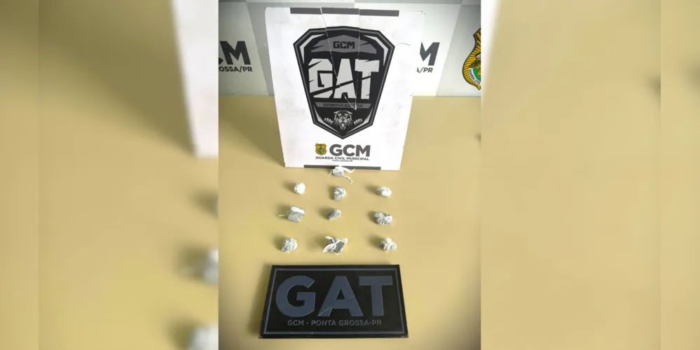 Droga foi encaminhada à delegacia do Município