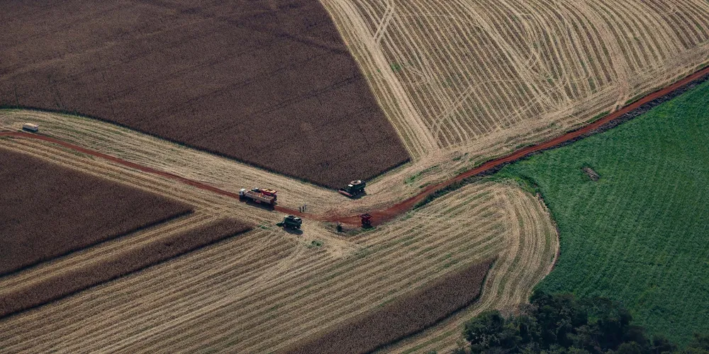 Avanço do Paraná é observado em todos os setores