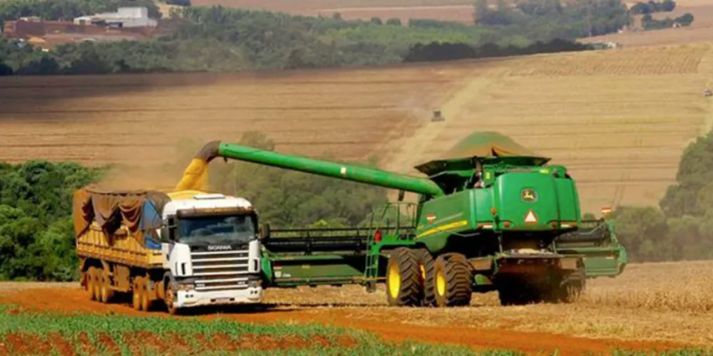 Produção de soja no Brasil deve crescer na Safra 2025/26