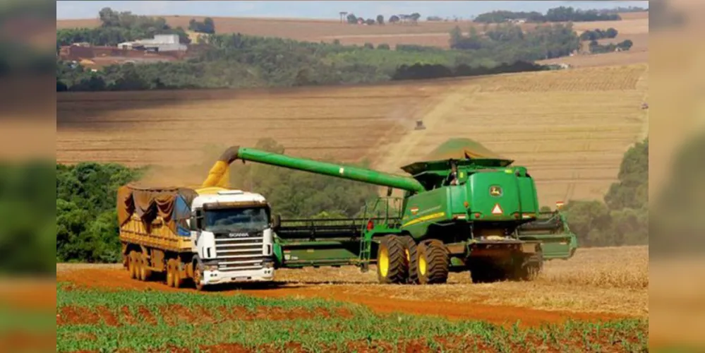 Produção de soja no Brasil deve crescer na Safra 2025/26