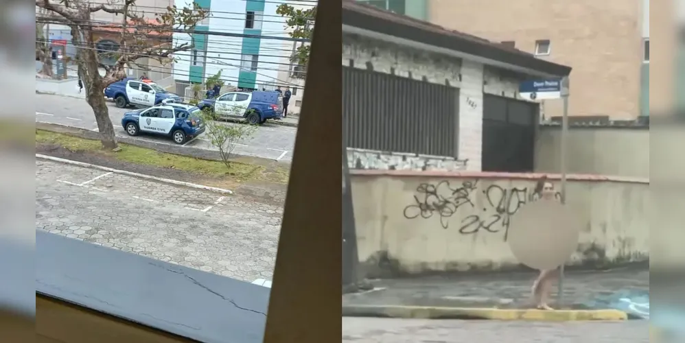 Mulher corre nua em praia após matar pai a facadas no litoral de SP