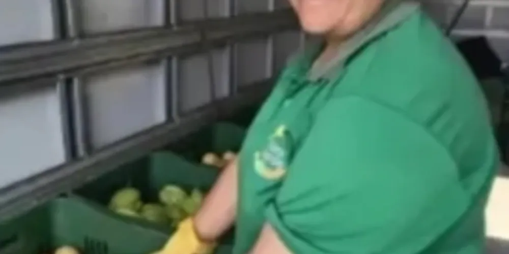 Três equipes vão percorrer os bairros para trocar recicláveis por frutas, verduras e legumes