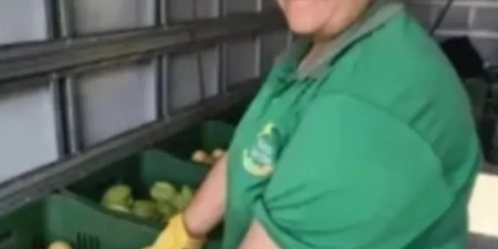 Três equipes vão percorrer os bairros para trocar recicláveis por frutas, verduras e legumes