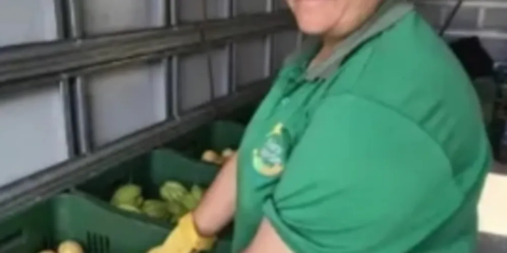 Três equipes vão percorrer os bairros para trocar recicláveis por frutas, verduras e legumes