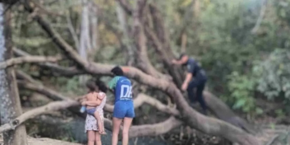 O Conselho Tutelar foi acionado para localizar os responsáveis dos pequenos