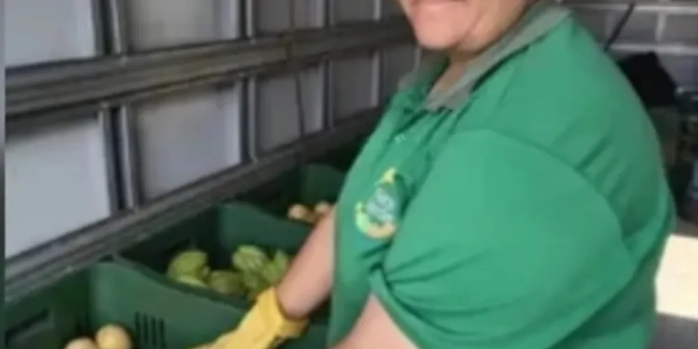 Três equipes vão percorrer os bairros para trocar recicláveis por frutas, verduras e legumes
