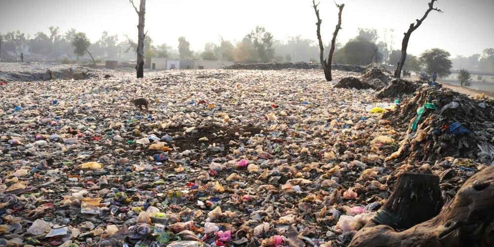 Mudanças climáticas estão avançando cada vez mais