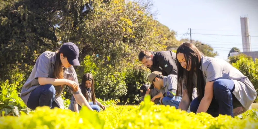 São 105 vagas, sendo 70 de externato e 35 de internato