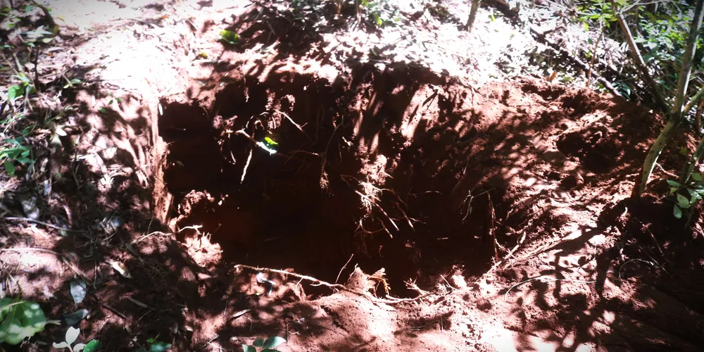 Ossada humana foi localizada no que seria uma cova